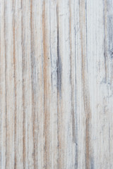 texture bois pâle, arrière plan pour montage photo
