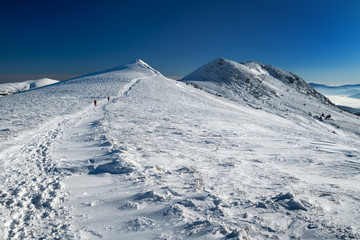 Frosty winter morning in the mountains. View of Szeroki Wierch and Tarnica (the highest peak of the Bieszczady Mountains in Poland - 1,346 m a.s.l.). Bieszczady National Park.
