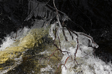Branches gelées sur une rivière au printemps