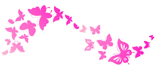 Obraz na płótnie Canvas butterfly562