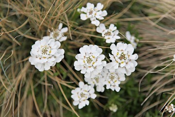 한국 인천시 강화군 전등사입니다