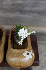 한국 인천시 강화군 전등사입니다