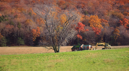 Colorful countryside forest in fall  (Connecticut, USA ) 