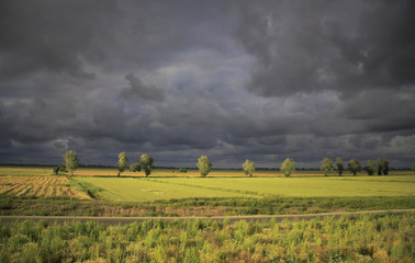 Fototapeta premium Bad weather over the field ( Connecticut, USA )