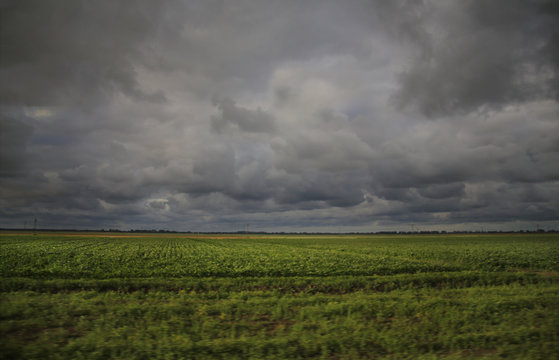 cloudy day on the field ( Connecticut, USA ) © KiniAdi