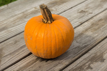 pumpkin on wooden background