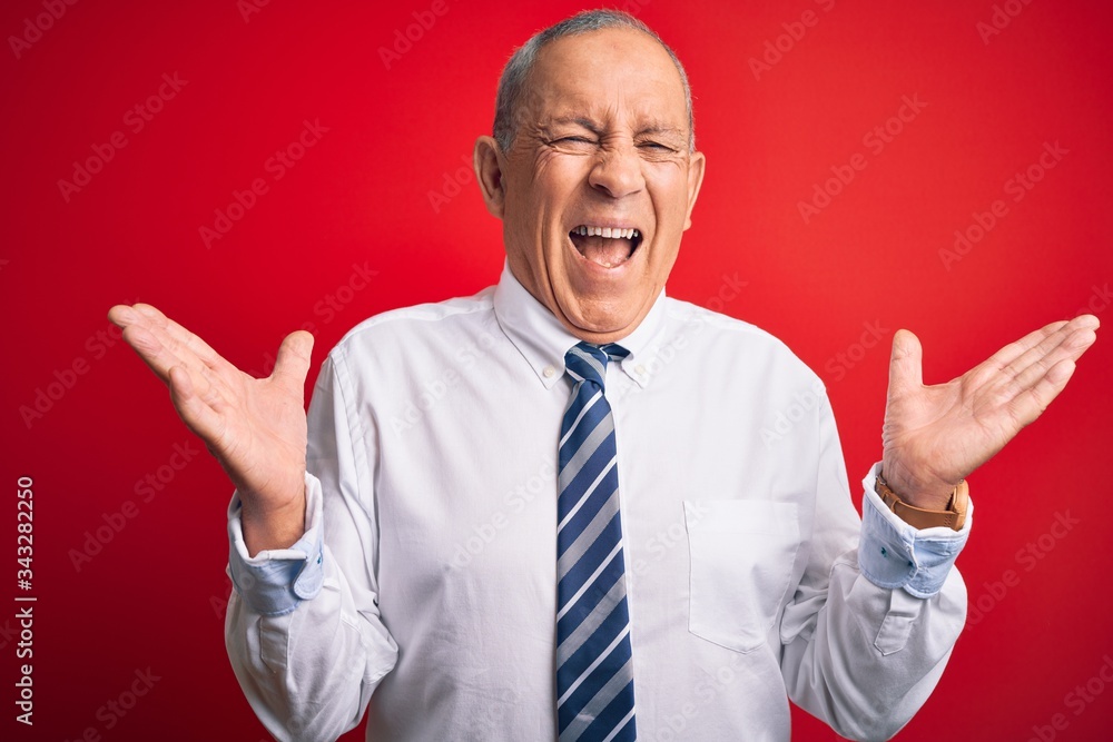 Wall mural senior handsome businessman wearing elegant tie standing over isolated red background celebrating ma