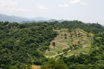 Fototapeta na wymiar Nature high angle view landscape from Fuyang Eco Park