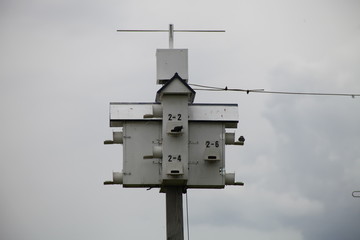 OUTSIDE HANGING BIRDHOUSE, WHITE, GARDEN, BLUE SKY