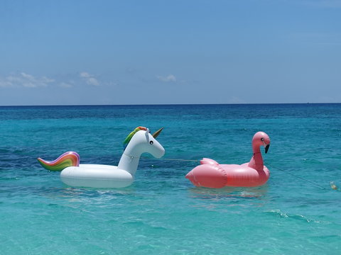 Boracay Philippines - Inflatable Swim Unicorn and Pelican swim ring