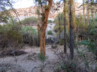 Jere Valley in San Pedro de Atacama, a valley in the middle of the driest desert in the world
