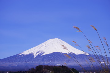 河口湖畔から望む富士山と青い空 