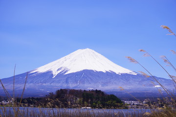 河口湖畔から望む富士山と青い空 