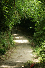 Hiking in the Yinghan Peak Trail