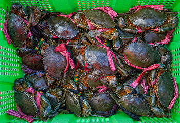 Kep and the crap market in Kep