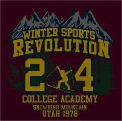 Winter sport ski graphic design vector art