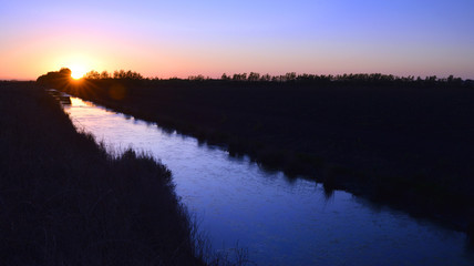 asparagus farming in South East Victoria Australia.