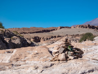 Mini forests fed by groundwater in the surroundings of San Pedro de Atacama