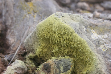 Nature landscape of the Xiaoyoukeng of Yang Ming Shan