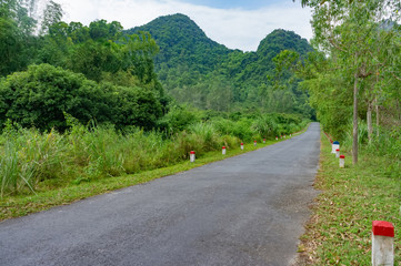 Fototapeta na wymiar Jungle Highway. Picturesque beautiful deserted road in the jungle. Cat Ba, Vietnam