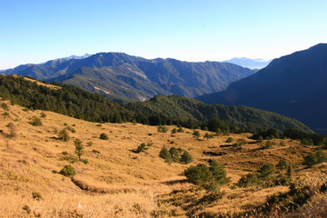 Beautiful landscape in Hehuanshan