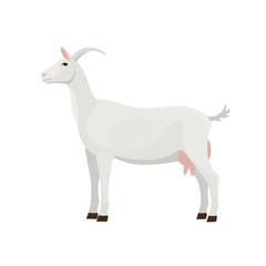 Farm Animals Goat Vector Illustration