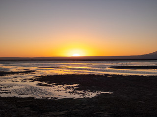 Habitat of flamingos and other wild species in the surroundings of San Pedro de Atacama