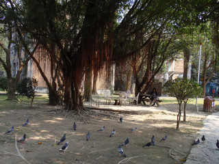 Afternoon view of some landscape around Drunken Moon Lake of National Taiwan University