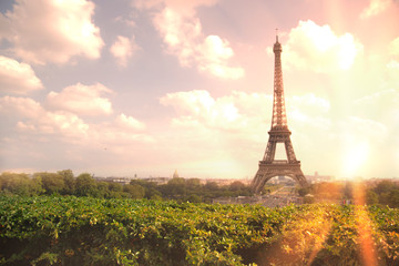 View on Eiffel tower through green summer trees with sunset rays. Beautiful Romantic background. Eiffel Tower from Champ de Mars, Paris, France.