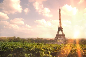 Schilderijen op glas Bekijk op de Eiffeltoren door groene zomerbomen met zonsondergangstralen. Mooie romantische achtergrond. Eiffeltoren van Champ de Mars, Parijs, Frankrijk. © Kotkoa