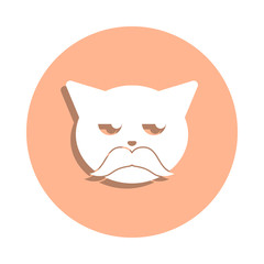 Cool older cat badge icon. Simple glyph, flat vector of cat smile icons for ui and ux, website or mobile application