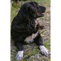 Monumentos, cielos, animales y flores de Colombia. 