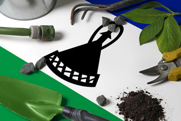 Lesotho flag with gardening tools background on table. Spring in the garden concept with free copy...