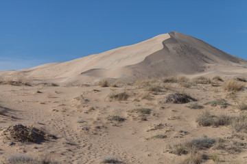 Kelso Dunes in the Mojave desert