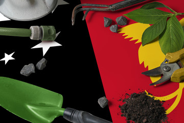 Papua New Guinea flag with gardening tools background on table. Spring in the garden concept with free copy space.