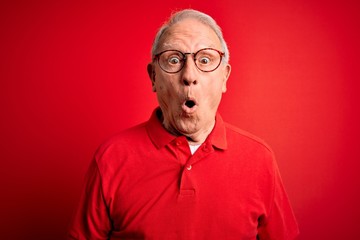 Grey haired senior man wearing glasses and casual t-shirt over red background afraid and shocked with surprise expression, fear and excited face.