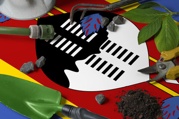 Swaziland flag with gardening tools background on table. Spring in the garden concept with free...