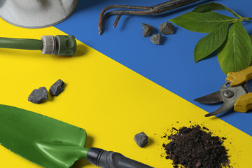 Fototapeta na wymiar Ukraine flag with gardening tools background on table. Spring in the garden concept with free copy space.