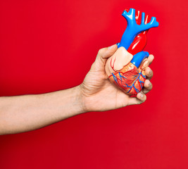 Beautiful hand of man holding artificial heart over isolated red background