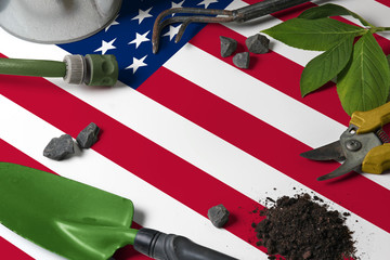 United States flag with gardening tools background on table. Spring in the garden concept with free copy space.