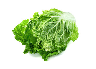 Fresh chinese cabbage leaf isolated on white background ,Green leaves pattern