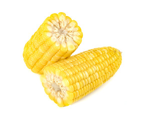 sweet corn isolated on white background