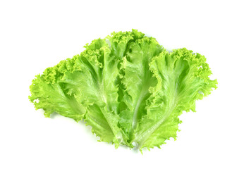 Lettuce leaf isolated on white background ,Green leaves pattern ,Salad ingredient