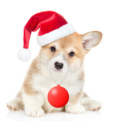 Cute Pembroke Welsh Corgi puppy wearing a red christmas hat holds toy ball. isolated on white background