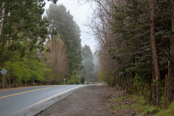 Carretera de Saltos del Petrohué