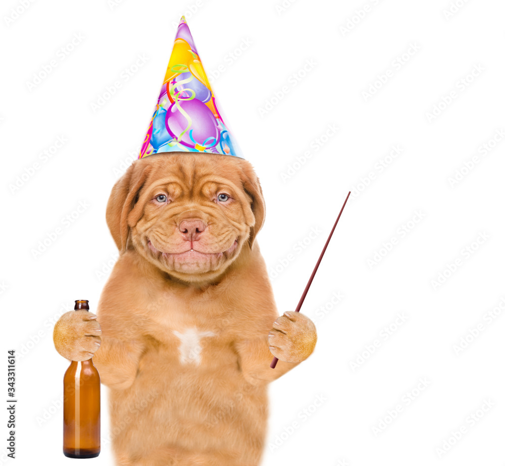 Poster dog wearing birthday hat holds bottle of a beer and points away on empty space. isolated on white ba