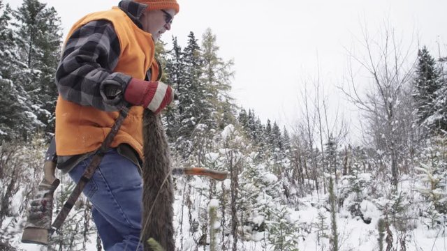 handheld tracking shot of a trapper carrying a beaver pelt through forest