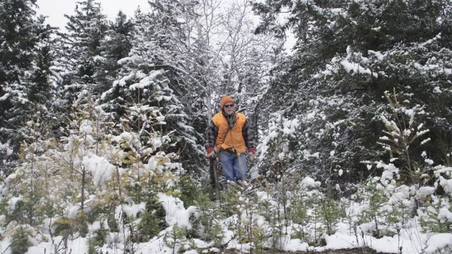 A fur trapper carries a beaver pelt through a boreal forest in winter