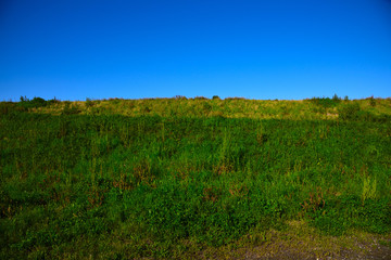 Fototapeta premium 土手