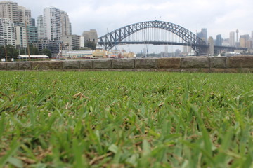 Sydney harbour bridge